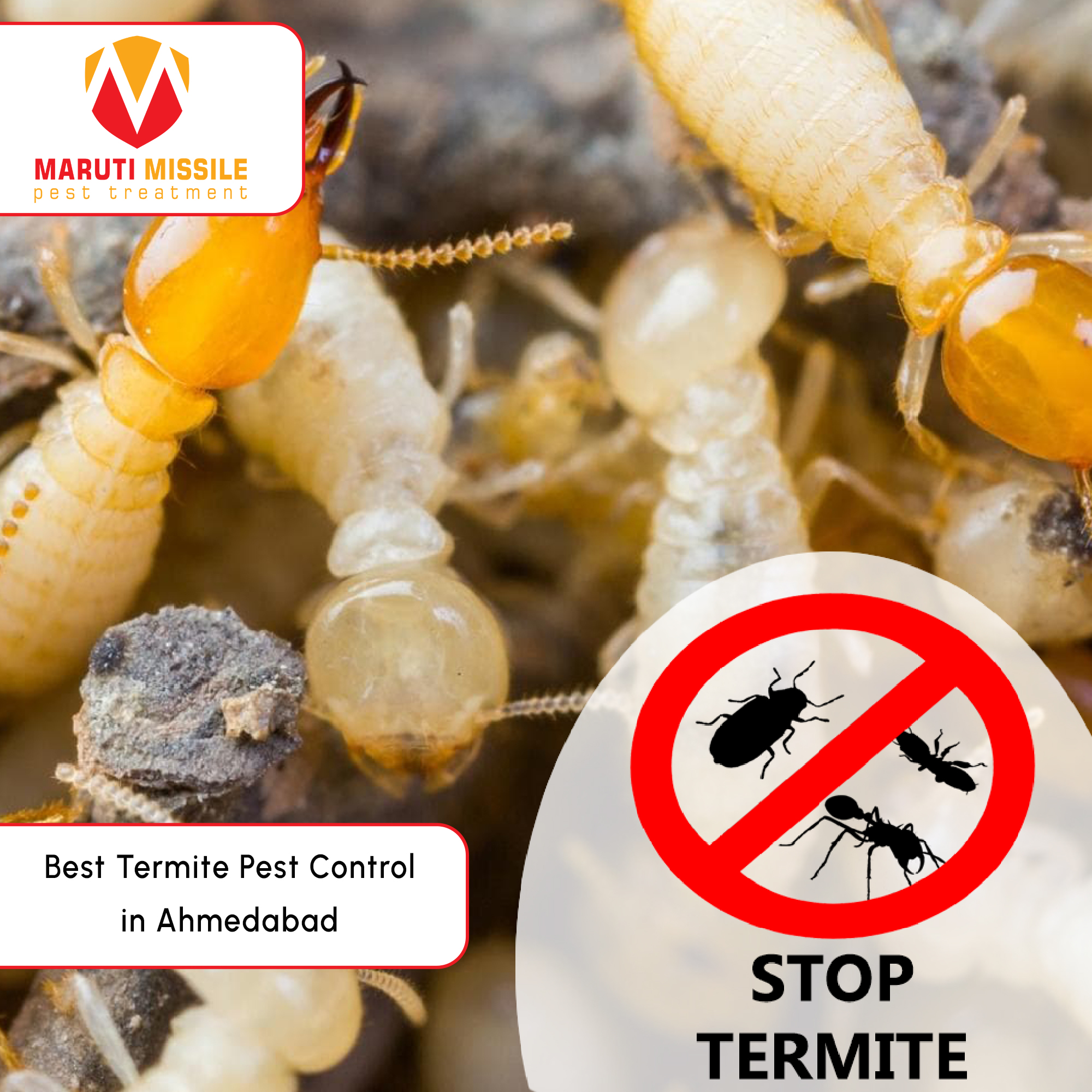 Pest Control Company in Ahmedabad