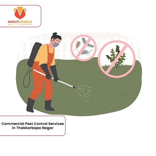 Commercial Pest Control Services in Thakkarbapa Nagar
