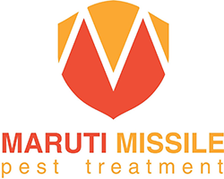 Termite pest control Service in Ahmedabad
