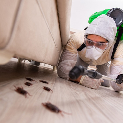 Pest Control Service in Ahmedabad