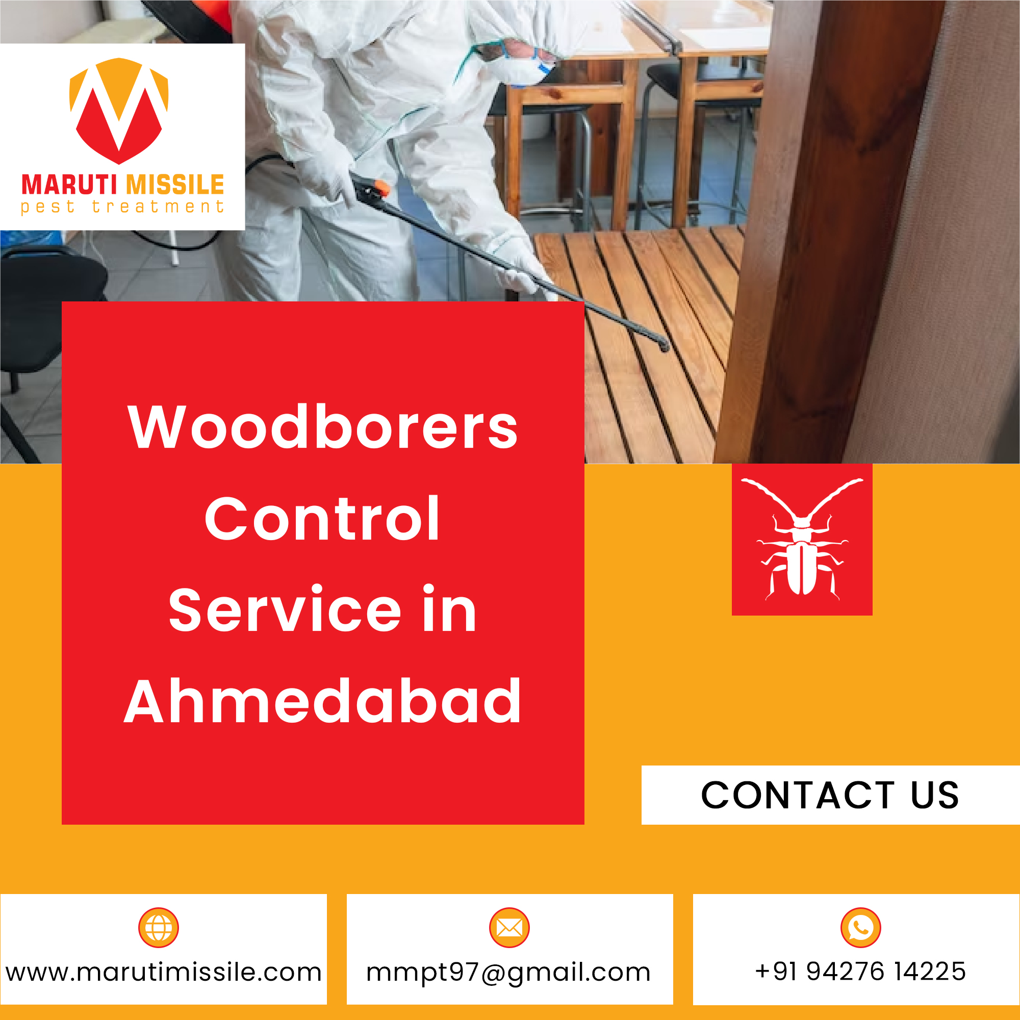 Wood Borer Pest Control Service Ahmedabad